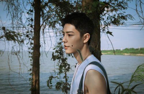 肖战现状爆料视频最新版,最新爆料视频深度解析