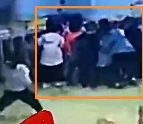 石家庄幼师爆料视频,揭秘幼儿园真实状况